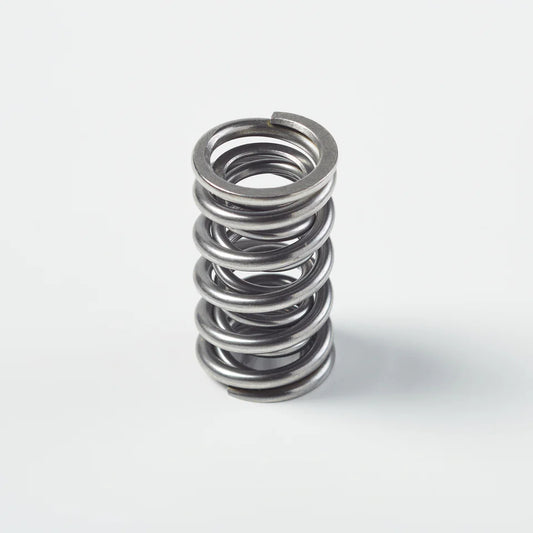 Manley Dual Valve Spring Kit