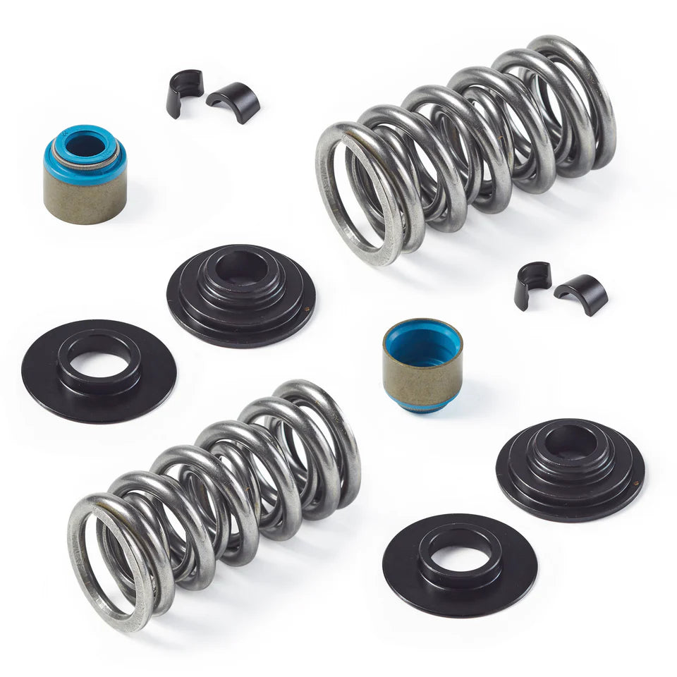 Manley Dual Valve Spring Kit