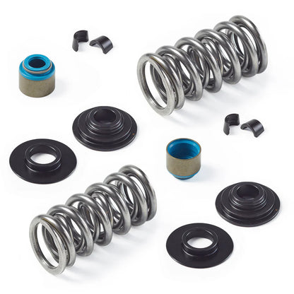 Manley Dual Valve Spring Kit