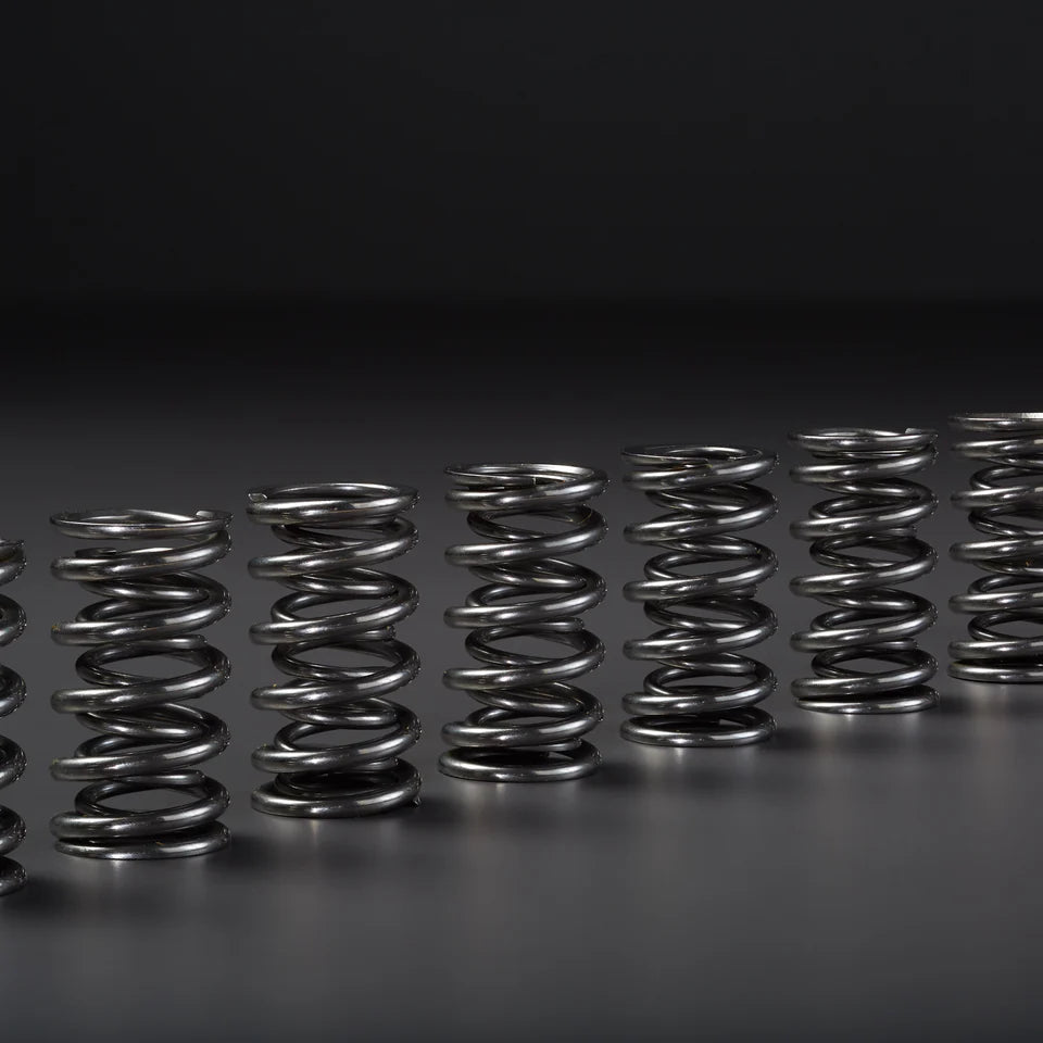 VCM Performance Camshaft + Manley Dual Valve Spring Bundle