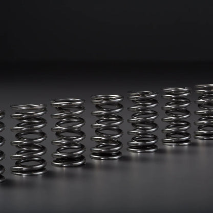 VCM Performance Camshaft + Manley Dual Valve Spring Bundle