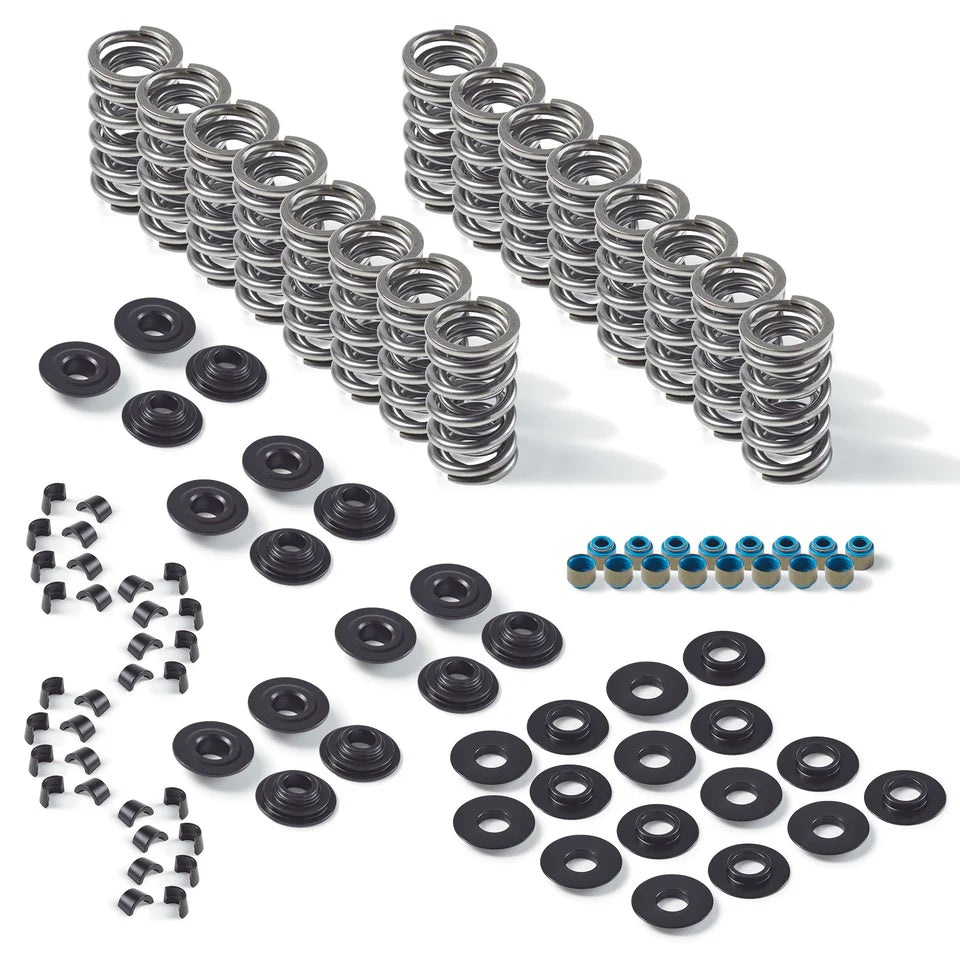 Manley Dual Valve Spring Kit