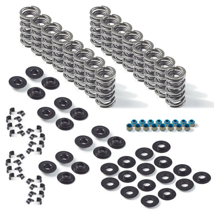 Manley Dual Valve Spring Kit